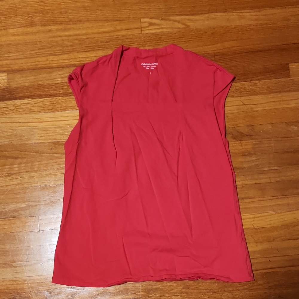 Coldwater Creek Pink Blouse